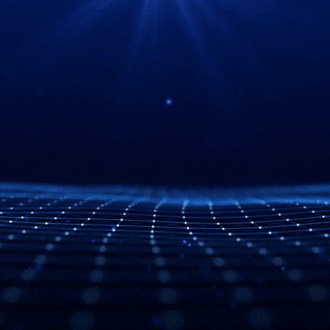 Web Design & Development